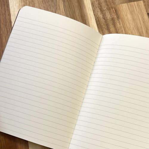 lifestyle image of Ledger of Perceived Slights Journal