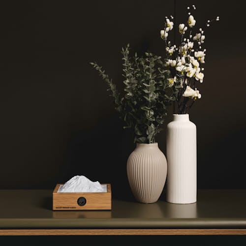 lifestyle image of Holzgestein Mount Rainier Lamp