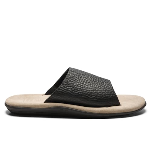 laydown image of Bullhide Slide