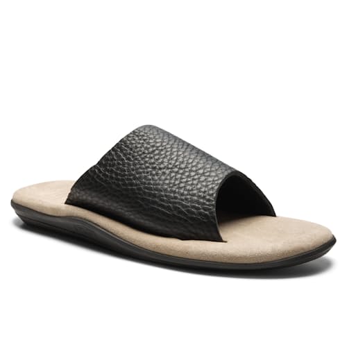laydown image of Bullhide Slide