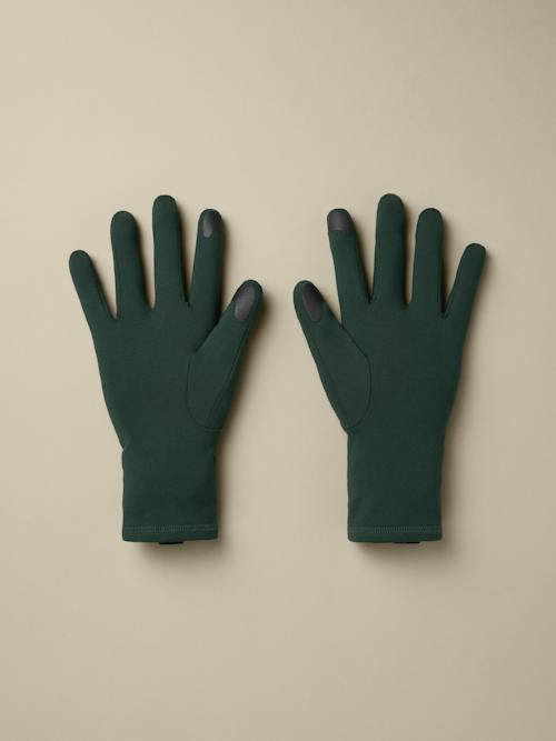 no crop image of Rho Glove