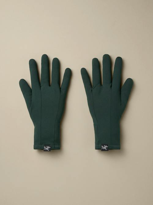 no crop image of Rho Glove
