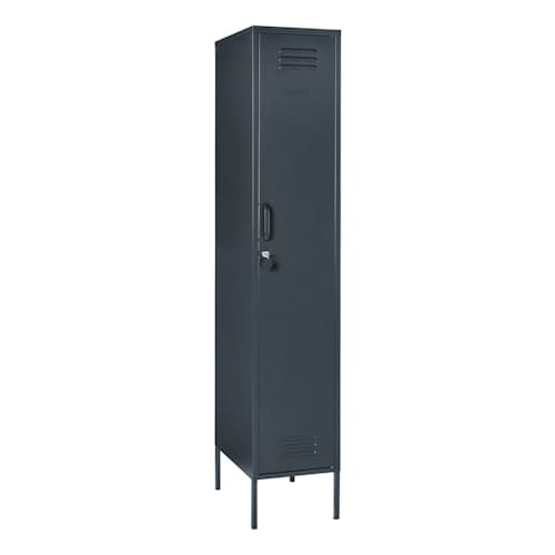 laydown image of The Skinny Locker