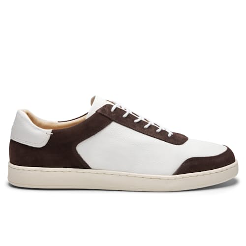 laydown image of Terra Low Sneaker