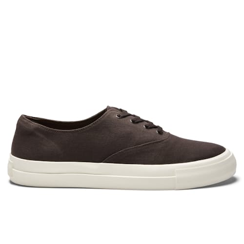laydown image of Canvas Sneaker