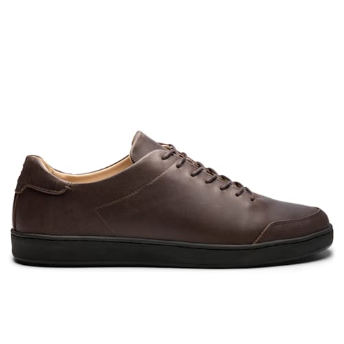 laydown image of Terra Low Sneaker