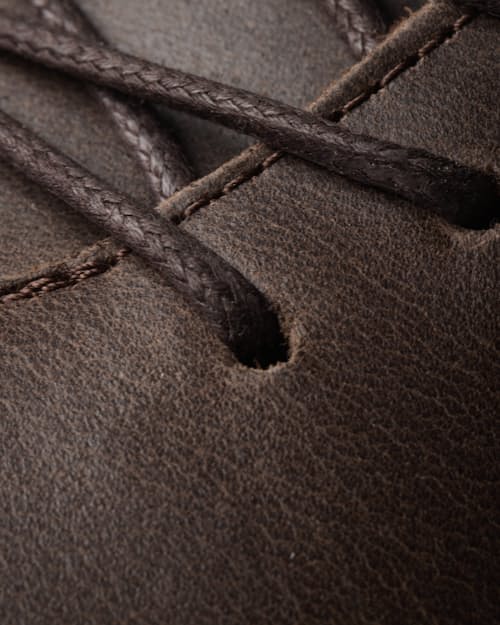 laydown detail image of Terra Low Sneaker
