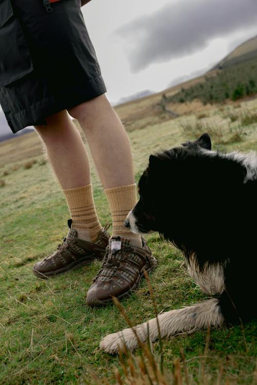 lifestyle image of Cham Redux SE x Harris Tweed