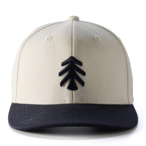 laydown image of Legacy Canvas Ball Cap