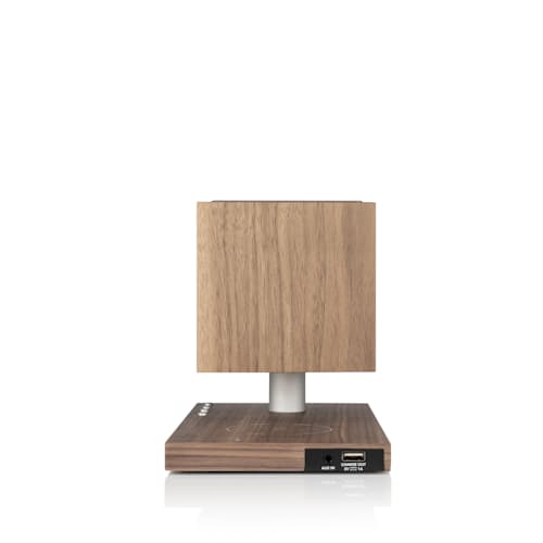 laydown image of Revive Speaker and Charger