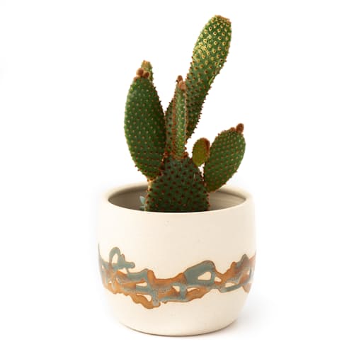 laydown image of Oasis Planter