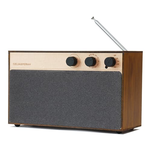 laydown image of R3 DIY Bluetooth Speaker