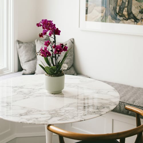 laydown image of Purple Orchid - Small