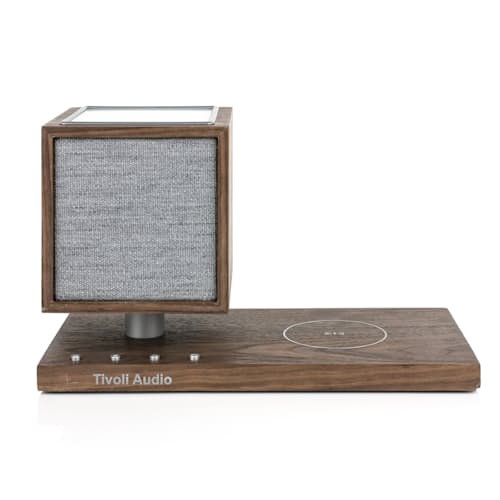 laydown image of Revive Speaker and Charger