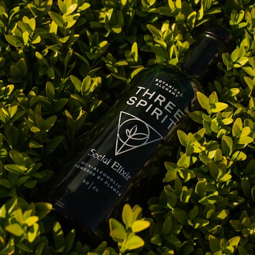 laydown image of Social Elixir
