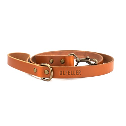 laydown image of Classic Leather Dog Leash