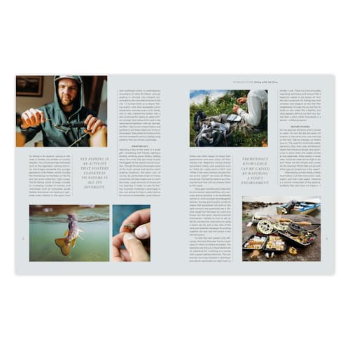 laydown image of The Fly Fisher