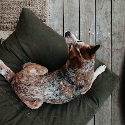 laydown image of Campfire Floor Cushion