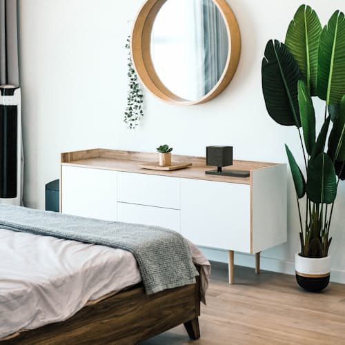 laydown image of Revive Speaker and Charger