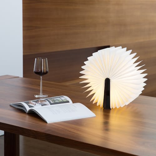 laydown image of Mini Lumio +