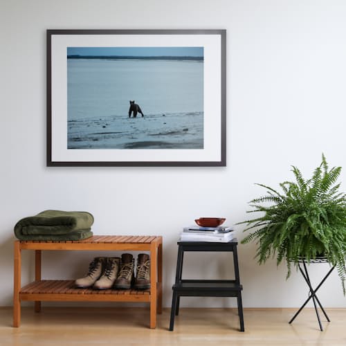 laydown image of “Midnight Bear” Signed Print - 1 of 5