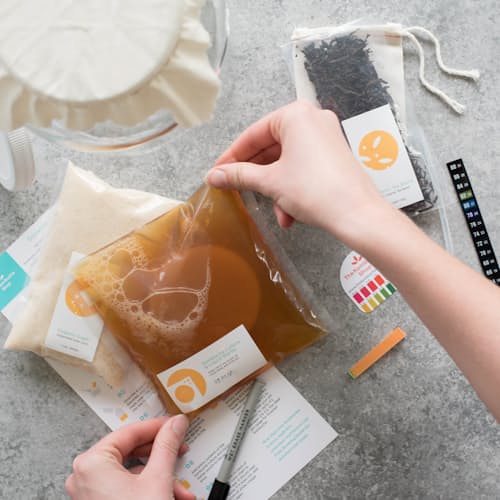 laydown image of Kombucha Brewing Kit