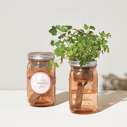 laydown image of Organic Herb Garden Jar Set