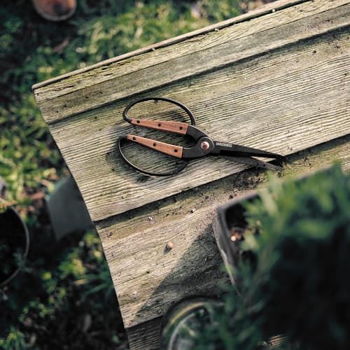 lifestyle image of Large Garden Scissors
