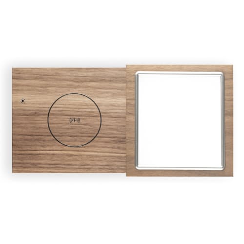 laydown image of Revive Speaker and Charger