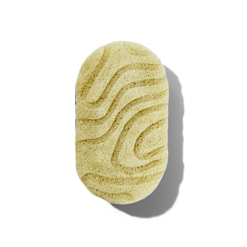 laydown image of The Orijin Sponge