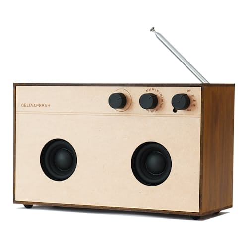 laydown image of R3 DIY Bluetooth Speaker
