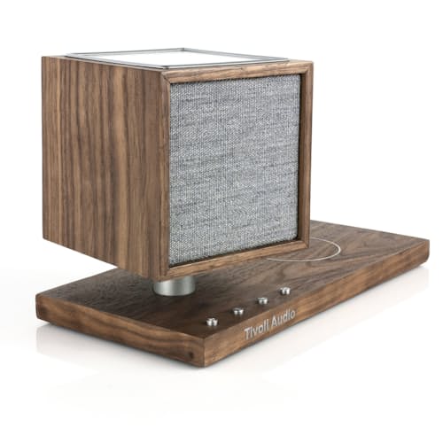 laydown image of Revive Speaker and Charger