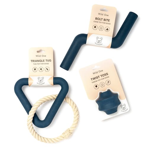 laydown image of All Natural Dog Toy Kit