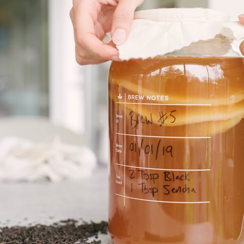 laydown image of Kombucha Brewing Kit