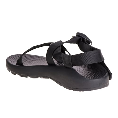 laydown image of Z/1 Classic Sandal