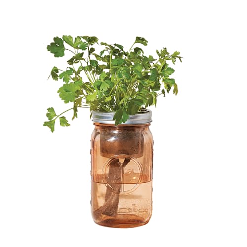 laydown image of Organic Herb Garden Jar Set