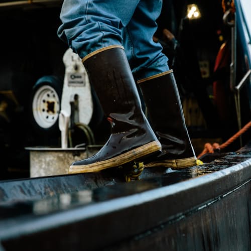 laydown image of Legacy Boot High - 15"