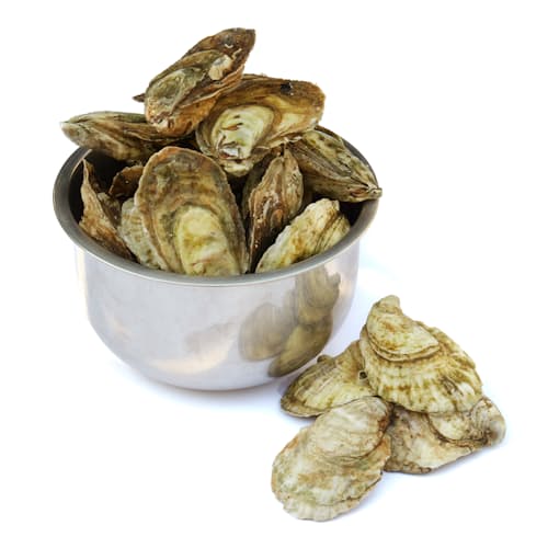 laydown image of Live Oysters - 50 Count