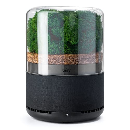 laydown image of The Briiv Air Filter