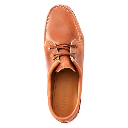 laydown image of Blucher