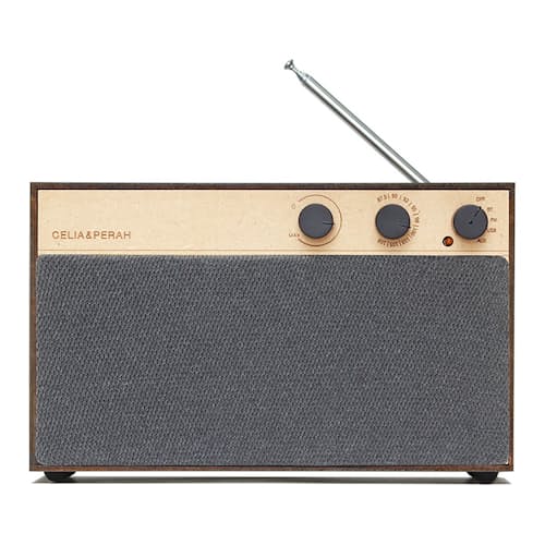 laydown image of R3 DIY Bluetooth Speaker