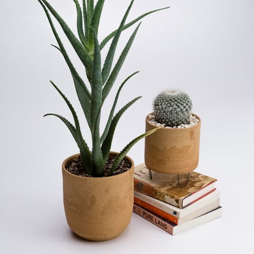 laydown image of Needlegrass Planter