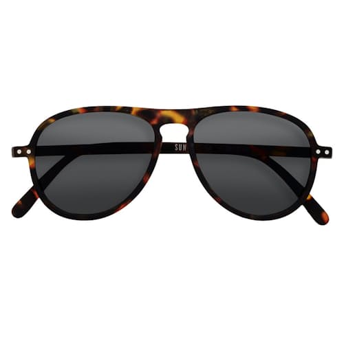 laydown image of #I - The Aviator