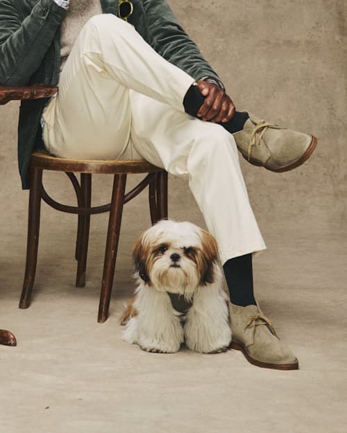 lifestyle image of Brownflex Chukka Boot