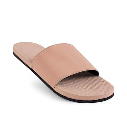 laydown image of ESSNTLS Slide