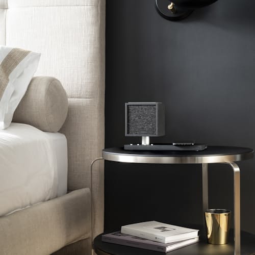 laydown image of Revive Speaker and Charger