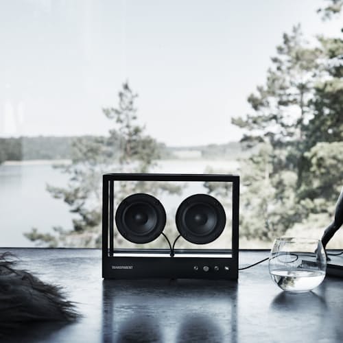 laydown image of Small Transparent Speaker
