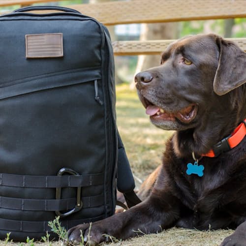 laydown image of GR1 Backpack - 21L