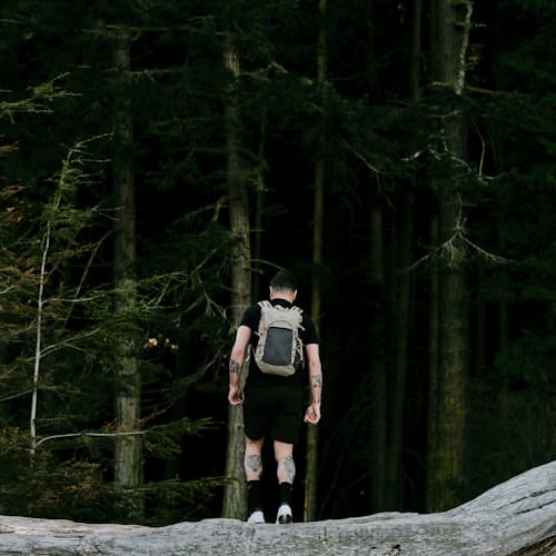 laydown image of In & Out Packable Backpack - 22L