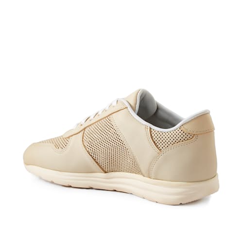 laydown image of Bennett Trainer